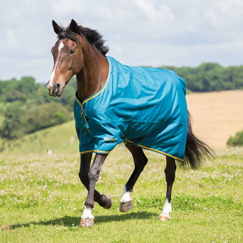Shires Tempest Original Lite Turnout Rug - Cobalt/Yellow 